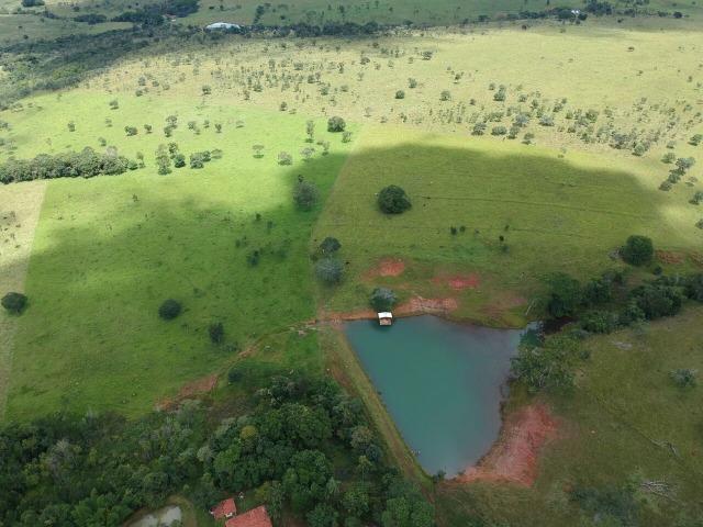 Fazenda 16,5 Alq - 50km de Goiânia - Hidrolândia - Entrada exclusiva - a 4 km da Rodovia - Foto 5