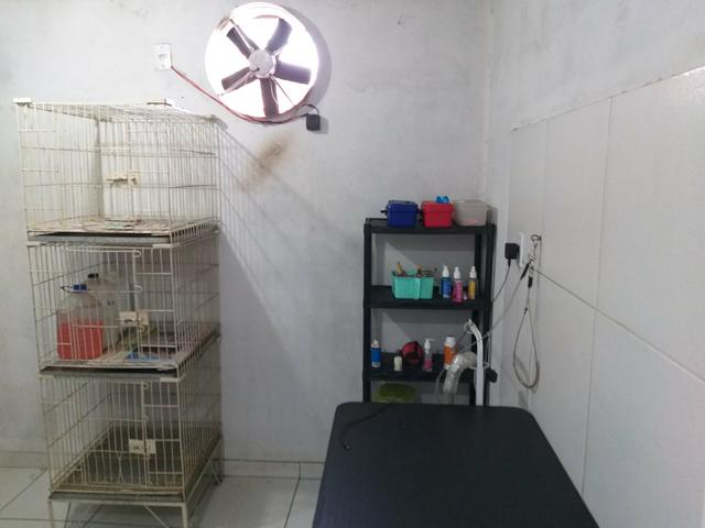 Pet Shop - Foto 6