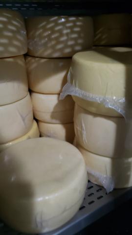 Queijo parmesão meia cura 6kg - Foto 2