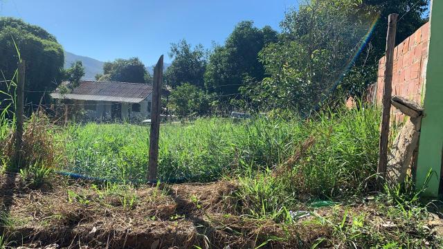 Terreno no caju - Foto 4