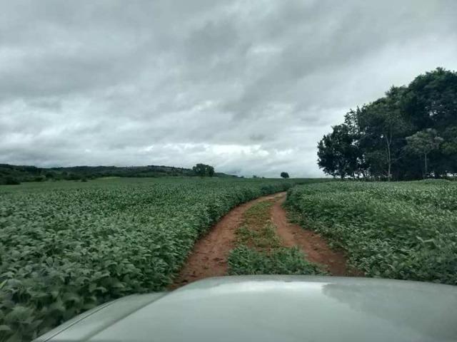 60 Alq. Troca Por Faz. Tocantins Mato Grosso Ou Goias + Acima 400 Alq - Foto 5