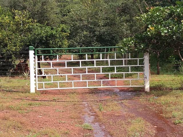 Fazendinha 3,6 Alq. Baixei o Preço.R$: 45.000,00 por Alq - Foto 9