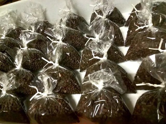 1Kg PIMENTA DO REINO ORGÂNICA EM GRÃOS (Produção Própria) - Foto 5