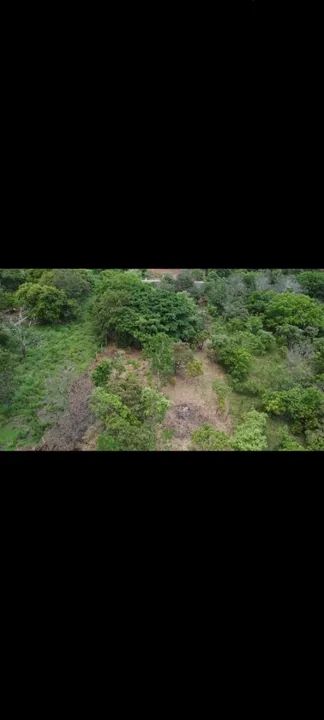 Chácara com 1000m2 na saída para Lajeado - Foto 12