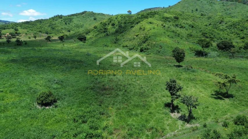 Fazenda 212,96ha - Malacacheta/MG - Foto 3