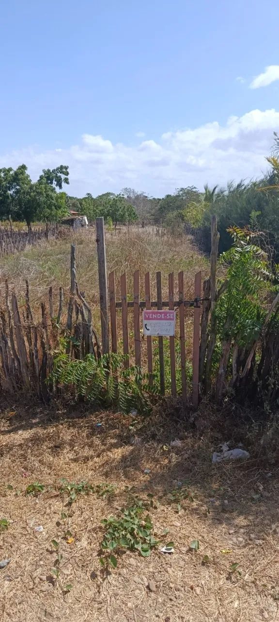 Terreno / Lote / 308m² - Andreza Beberibe CE - Foto 4