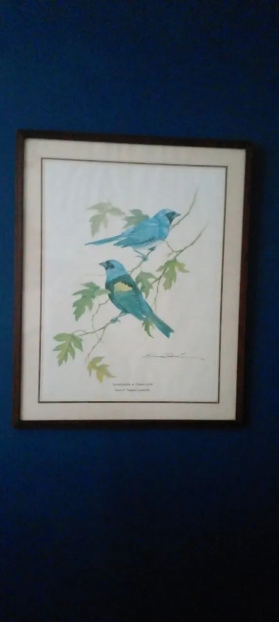 Quadro par de andorinhas - Foto 3