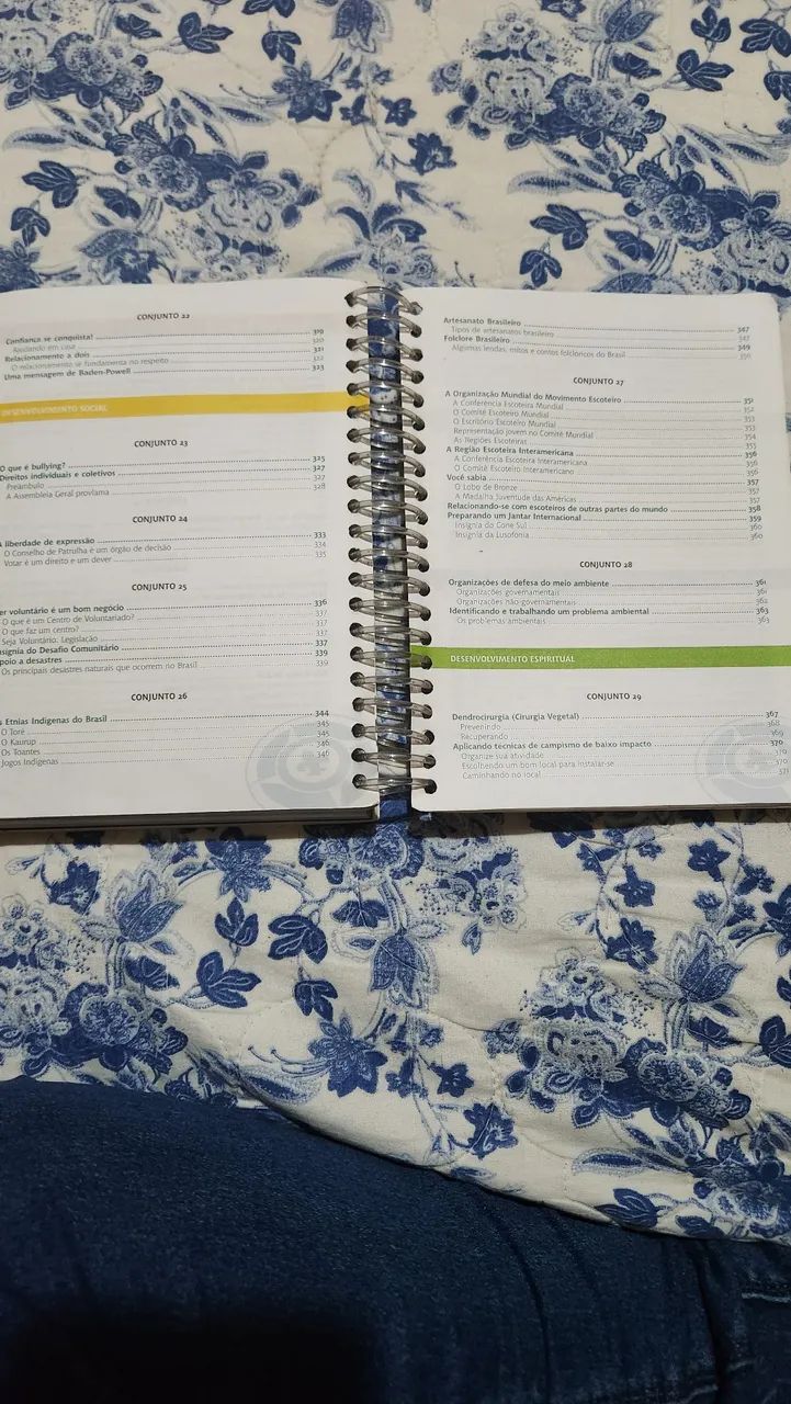 Guia Desafio Sênior  - Foto 6