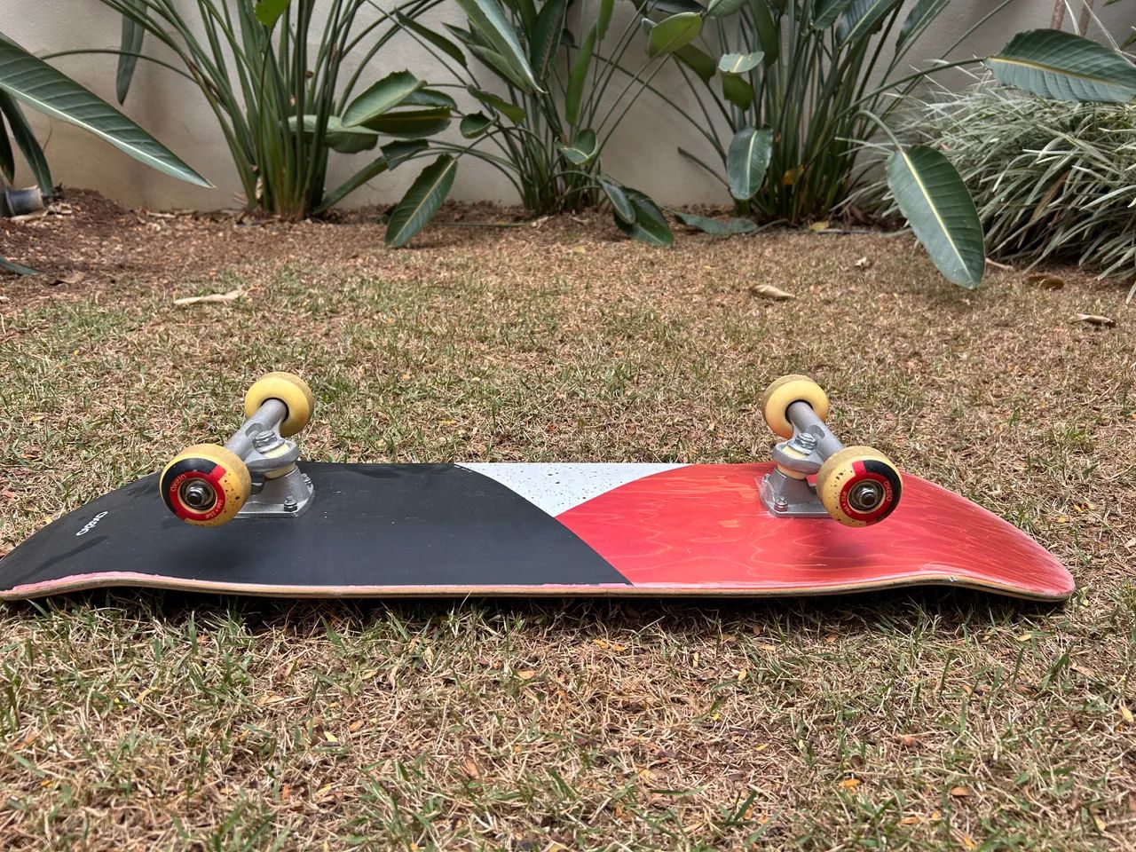 Skate oxelo - Foto 5