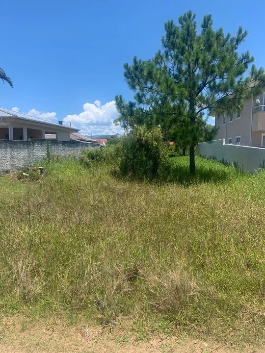Vendo Terreno pinheira - Foto 3