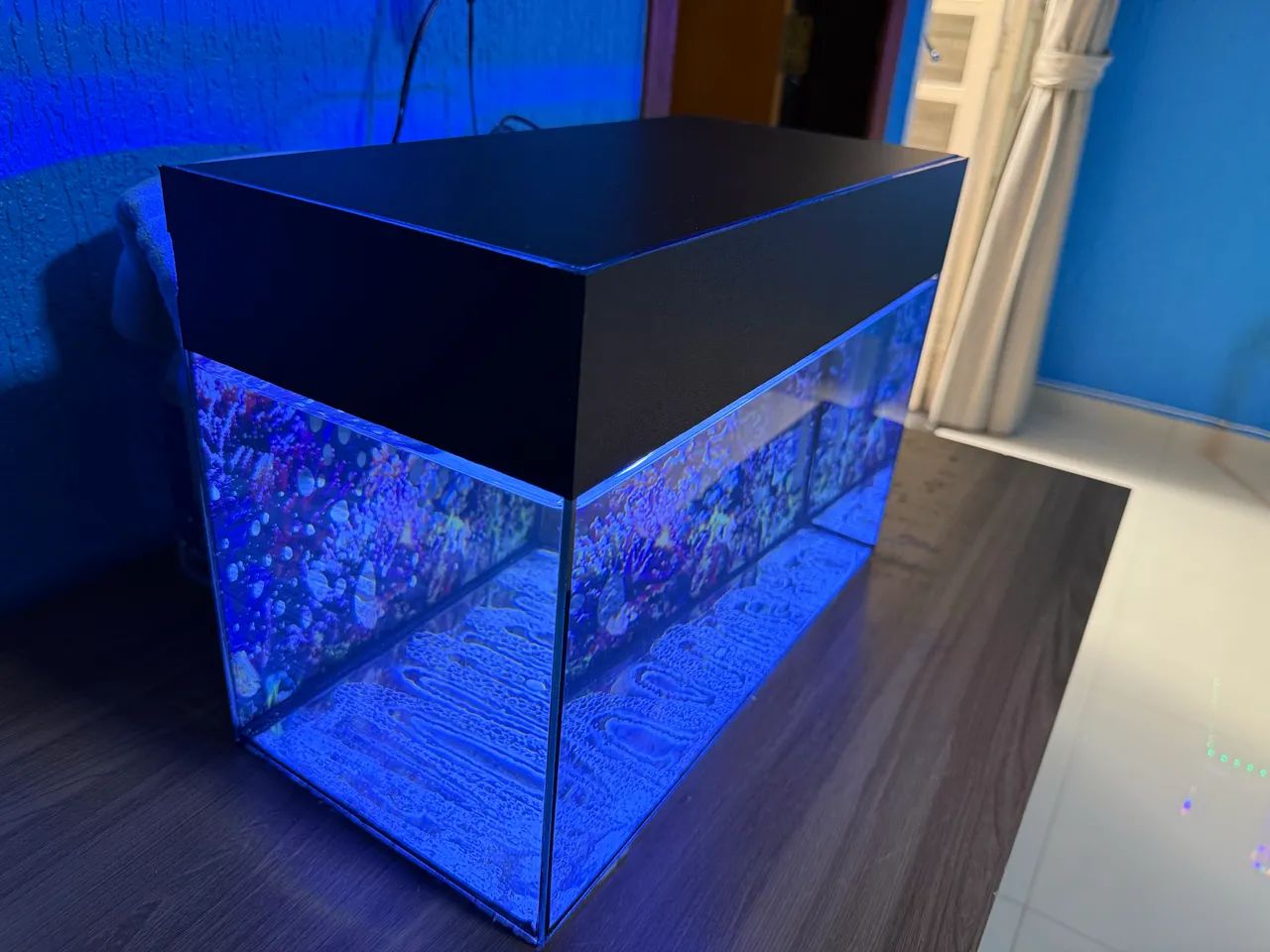 Aquário 19L completo  - Foto 3