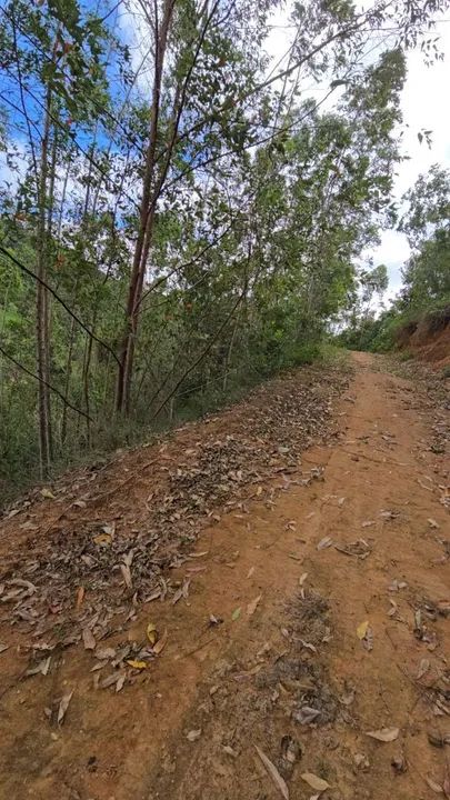 Black sítio  Encontre seu Refúgio Natural em Tijuco Preto, Domingos Martins - Foto 2