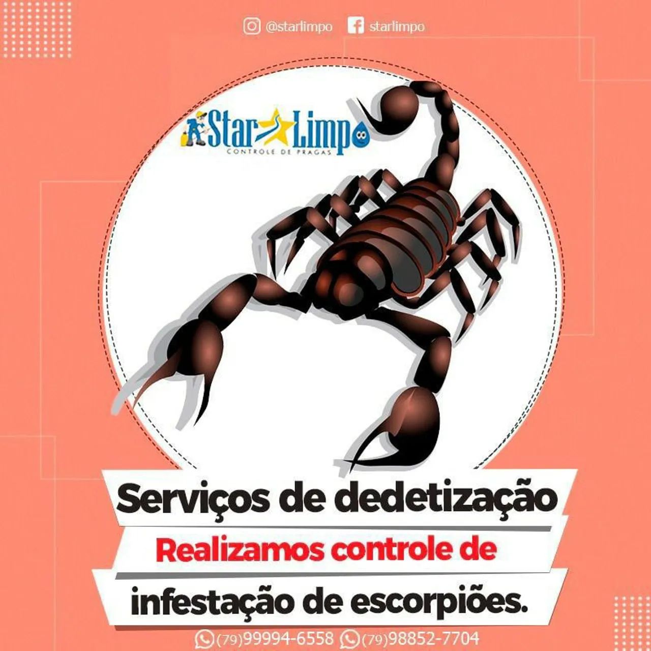 Starlimpo Dedetização 02/02/25 - Foto 5
