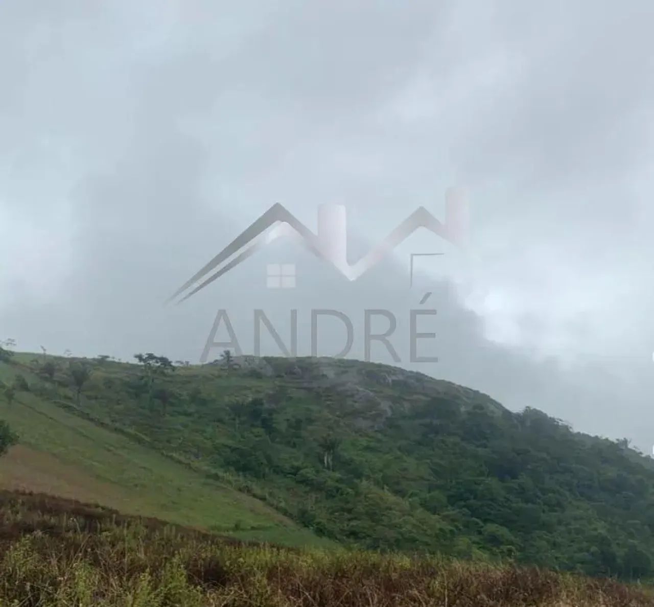 Área Rural para Venda em Amaraji, ENGENHO GULOSO - Foto 3