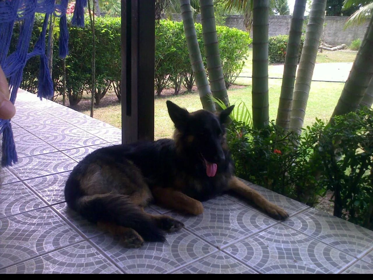 granja bem estruturada próximo a lagoa do Bonfim - Foto 6