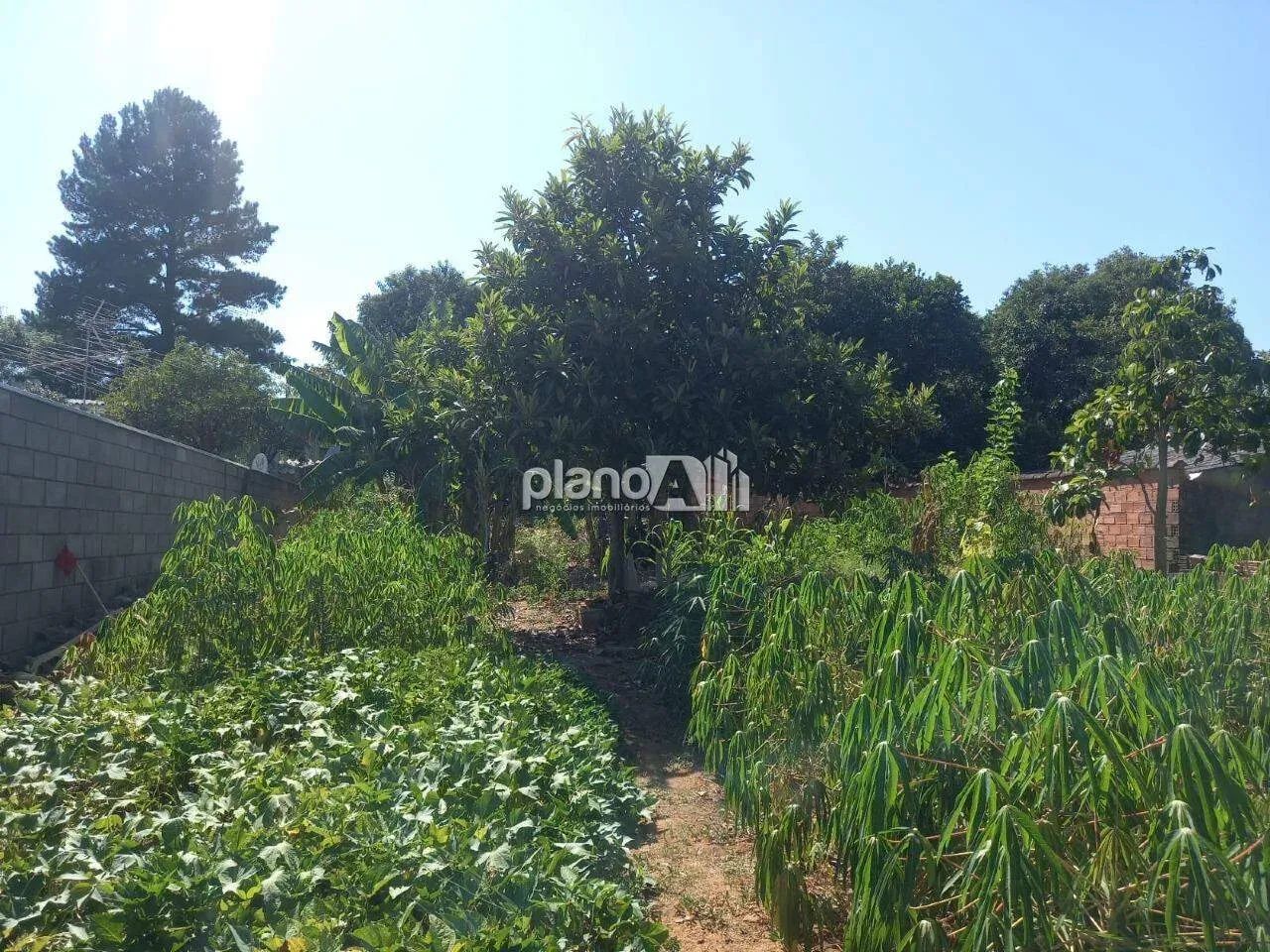 Terreno à venda, com 480m², - Barnabé - Gravataí / RS por R$ 255.500,00 - Foto 4