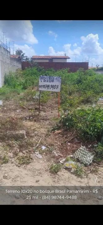 Foto - Natal - Dix-Sept Rosado