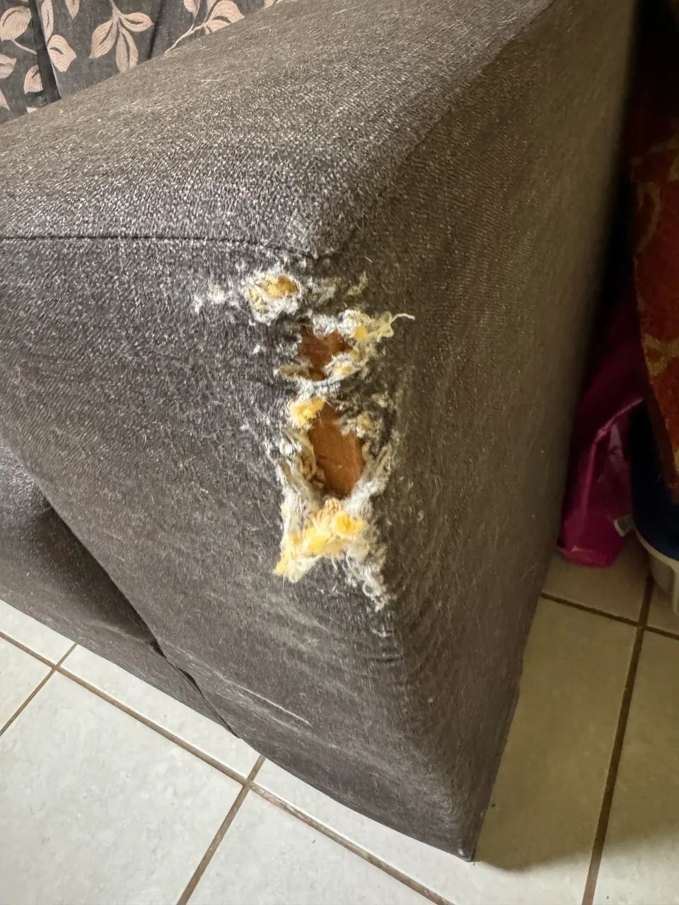 2 SOFÁS 2 e 3 Lugares - Foto 4