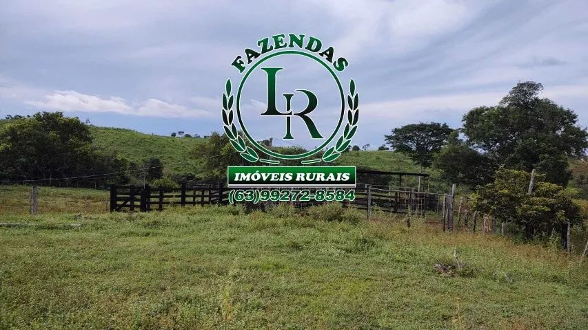 Fazenda 25 Alqueires  ( 121 hectares) Próximo a Palmas - Foto 4