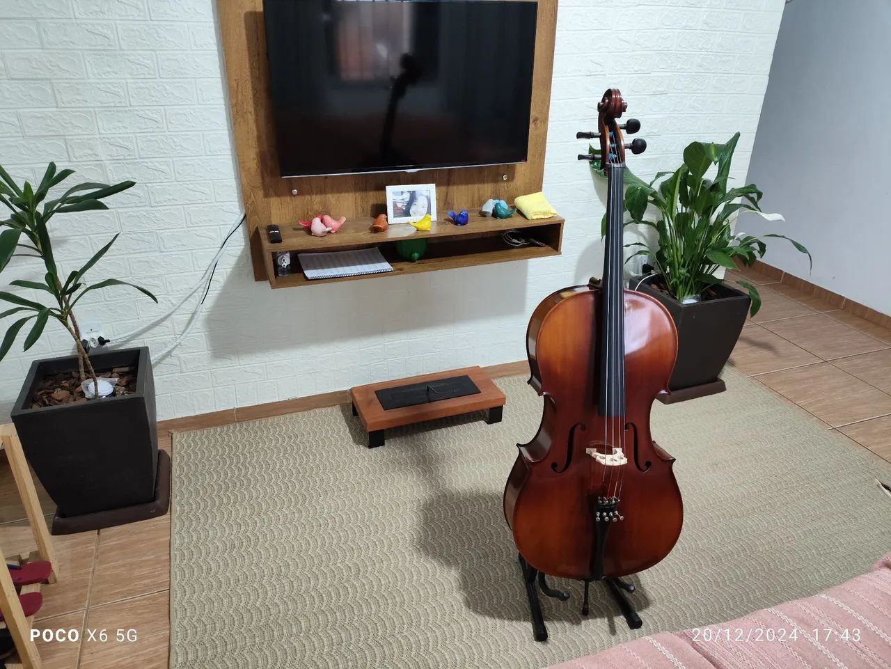 Violoncelo Michael VOM140 ajustado ( Fábio Vanini ) - Foto 3