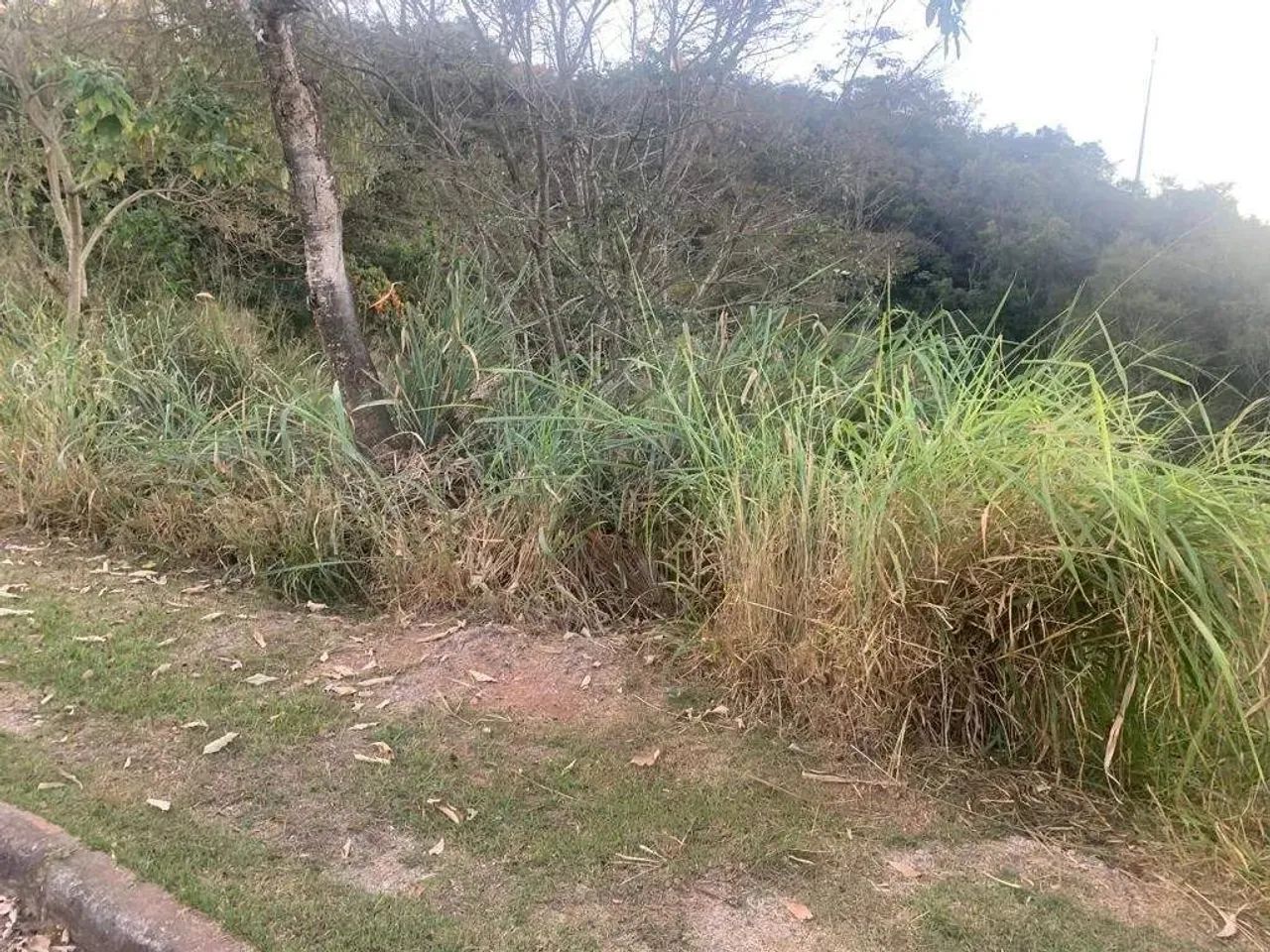 Lote em condomínio, Quintas do Sol, Jardim Serrano, Nova Lima, R$1.200.000,00, à venda na  - Foto 4