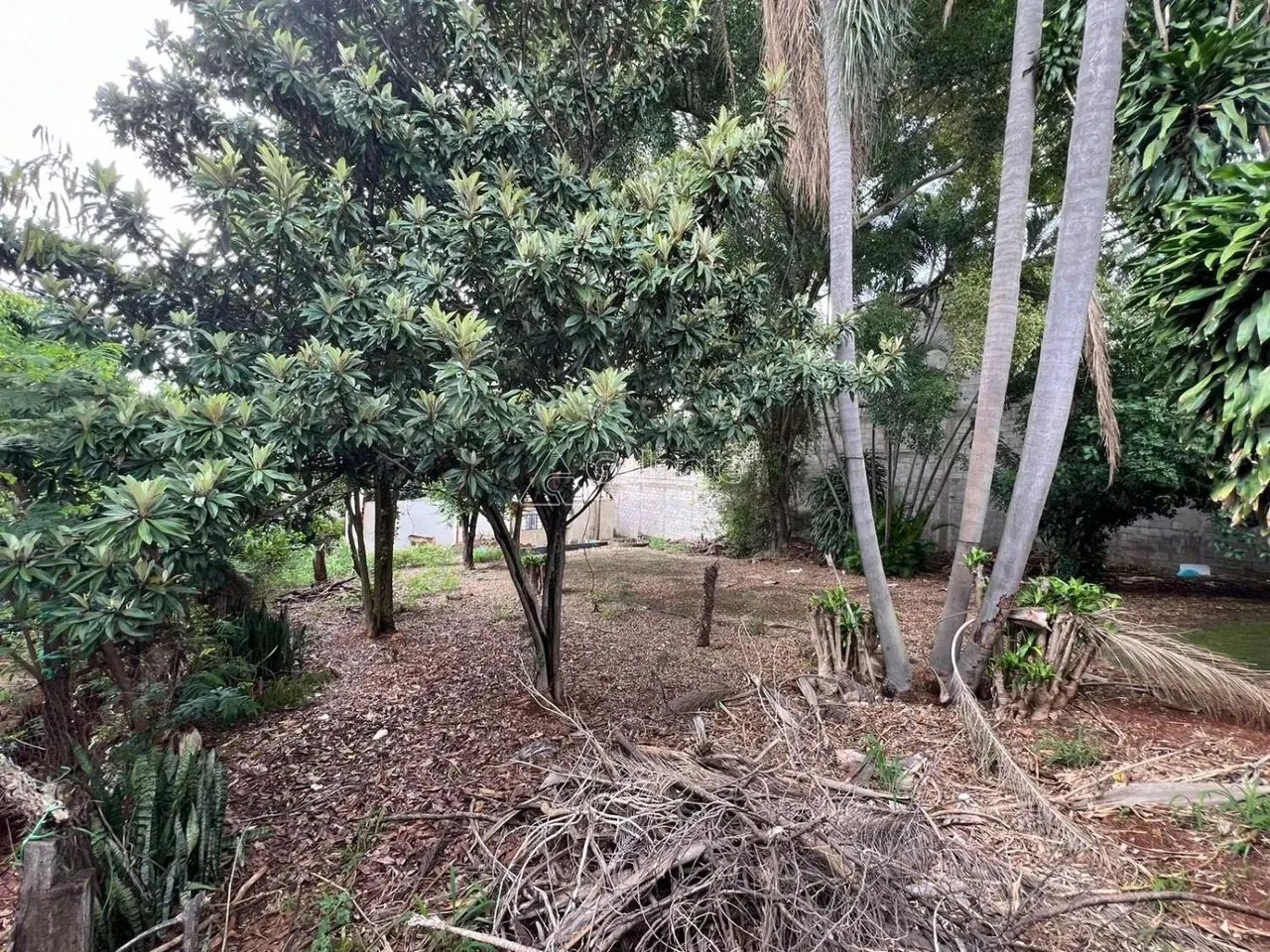 terreno - Chácara Boa Vista - Campinas - Foto 15