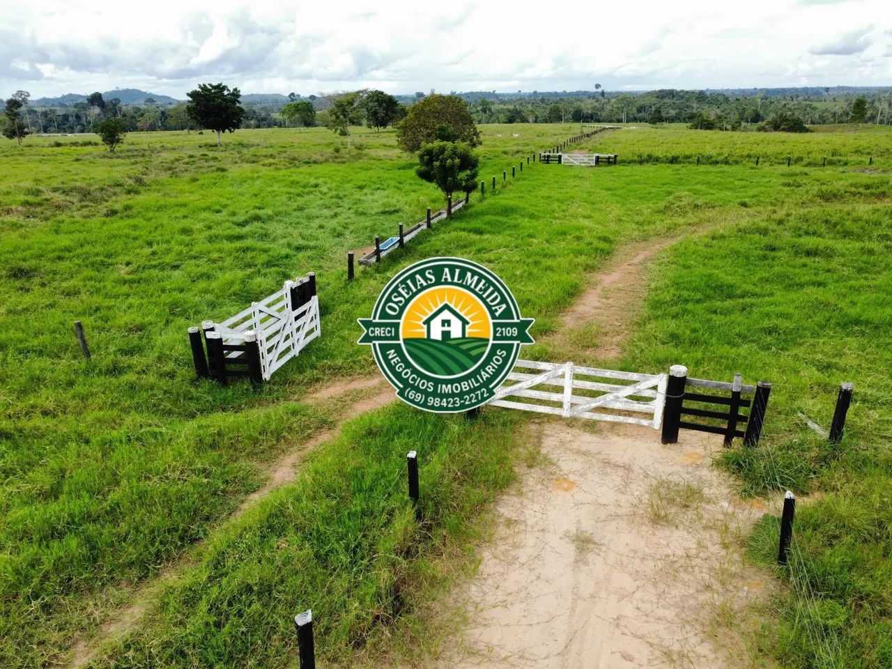 134 Hectares pronta para pecuária 