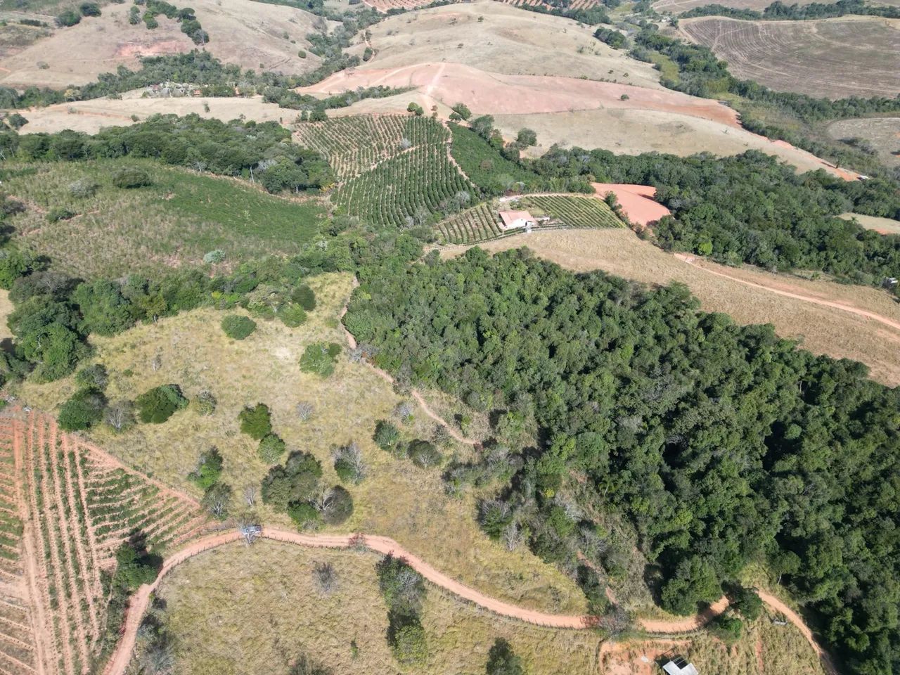 Área com 20 mil metros em jacutinga - Foto 3