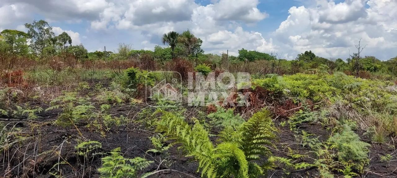 Chácara a venda NR Euller Paranhos - terra nua - 28000 m² - com nascente - Escriturada e R - Foto 8