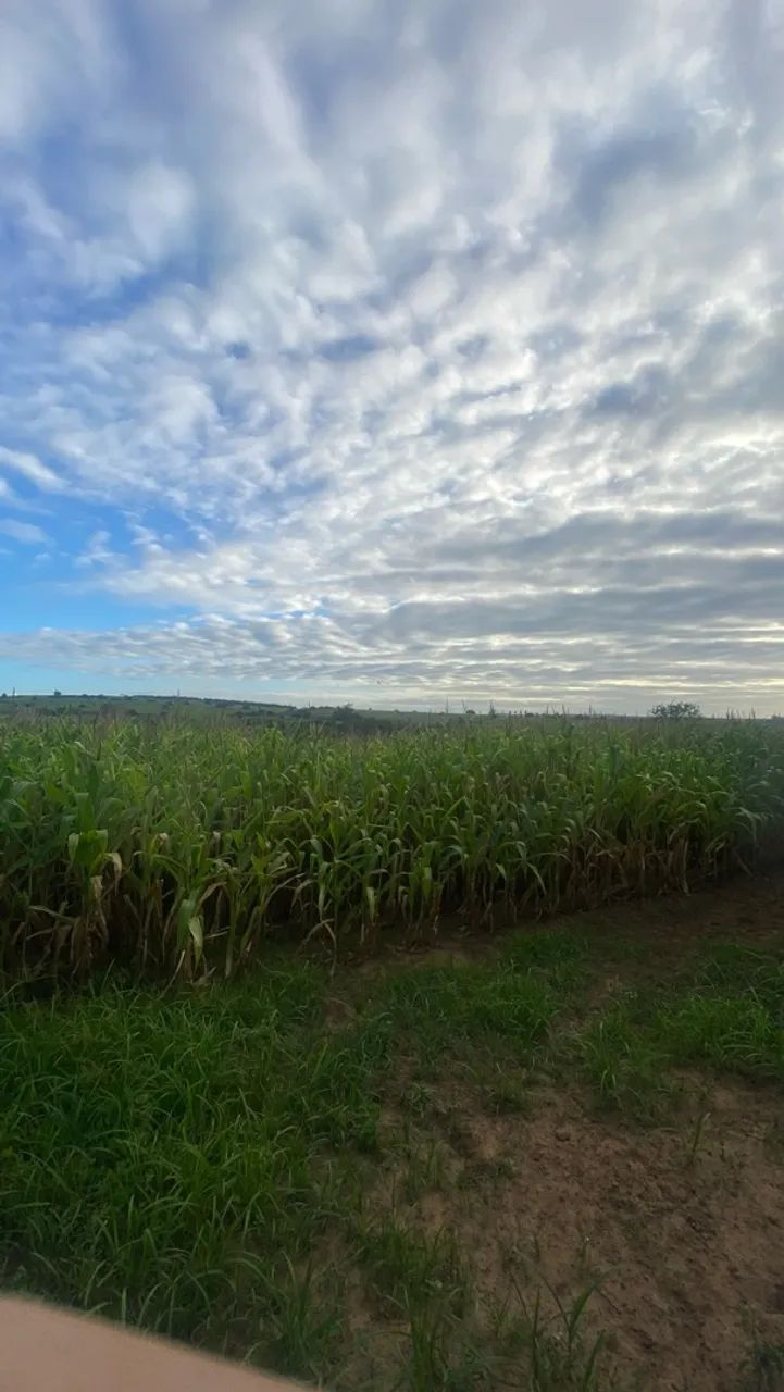 Terreno à venda - Japoatã/SE - Foto 4