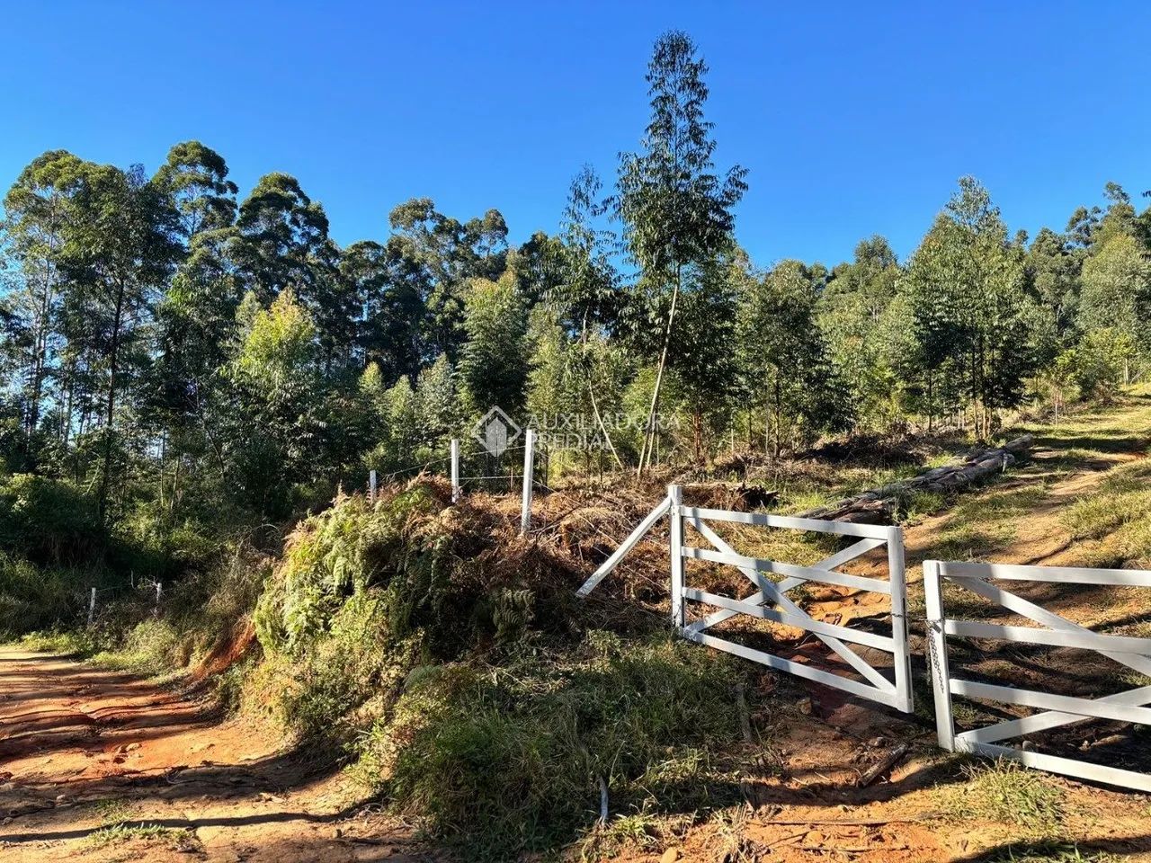 Sítio rural com 2 hectares e vista privilegiada para a Lagoa de Imaruí - Foto 4