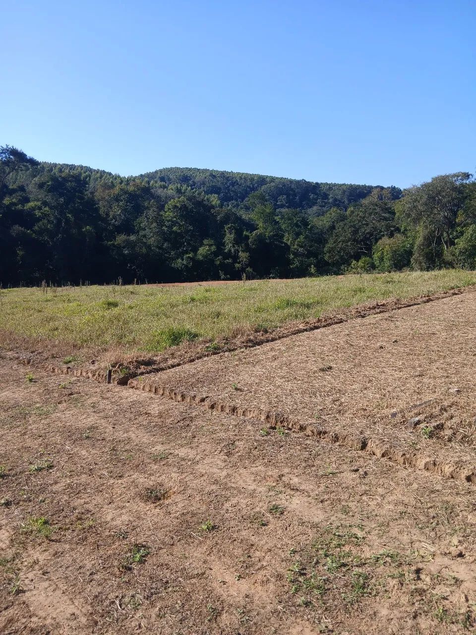 TERRENO CHACARA - Foto 4