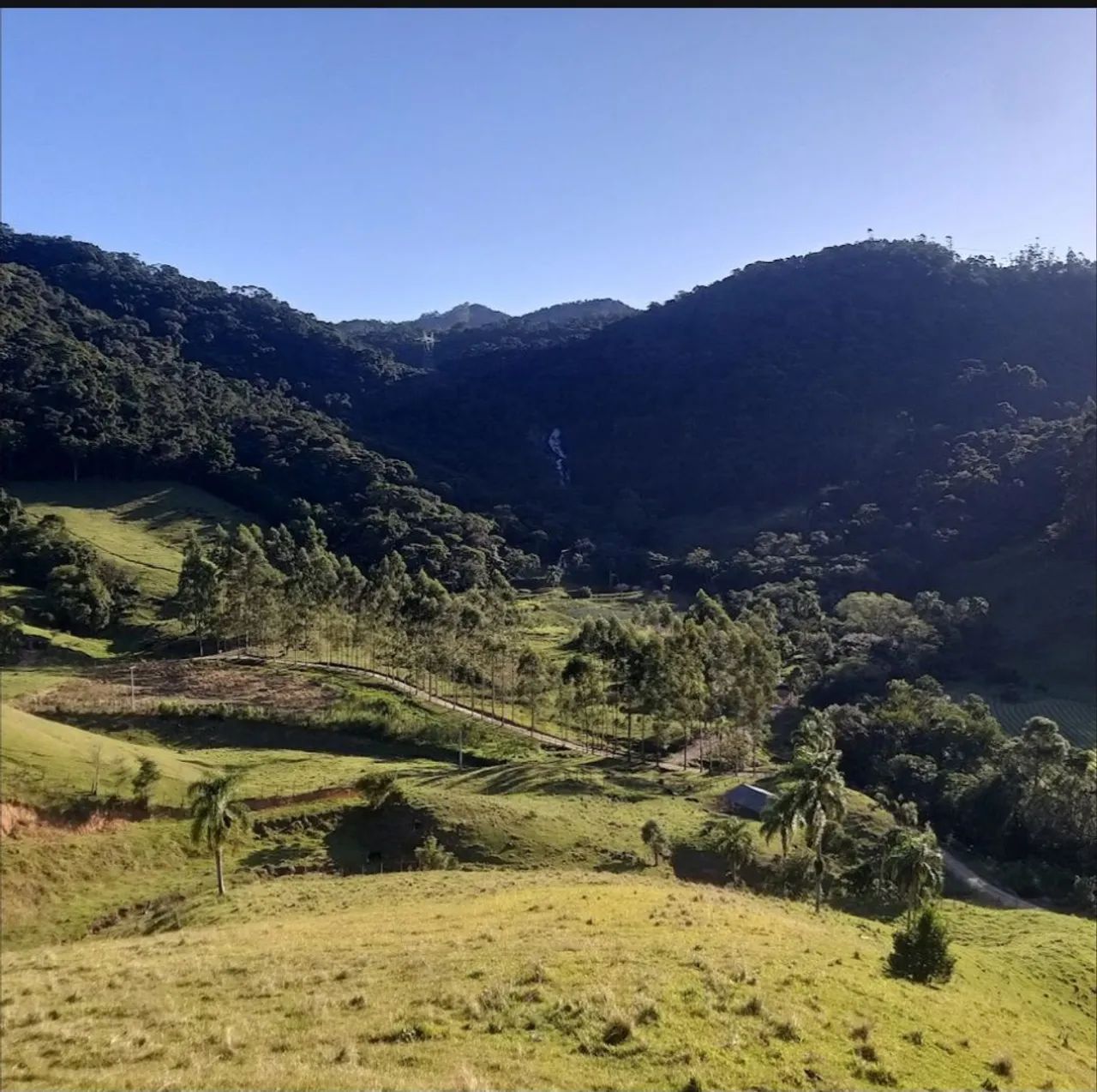 40 hectares Anitápolis SC  - Foto 5