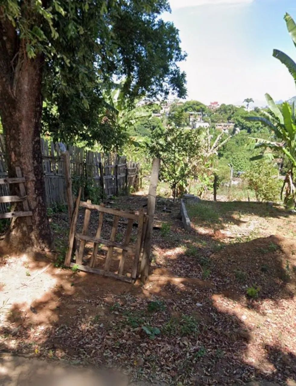 Foto - Cariacica - Graúna