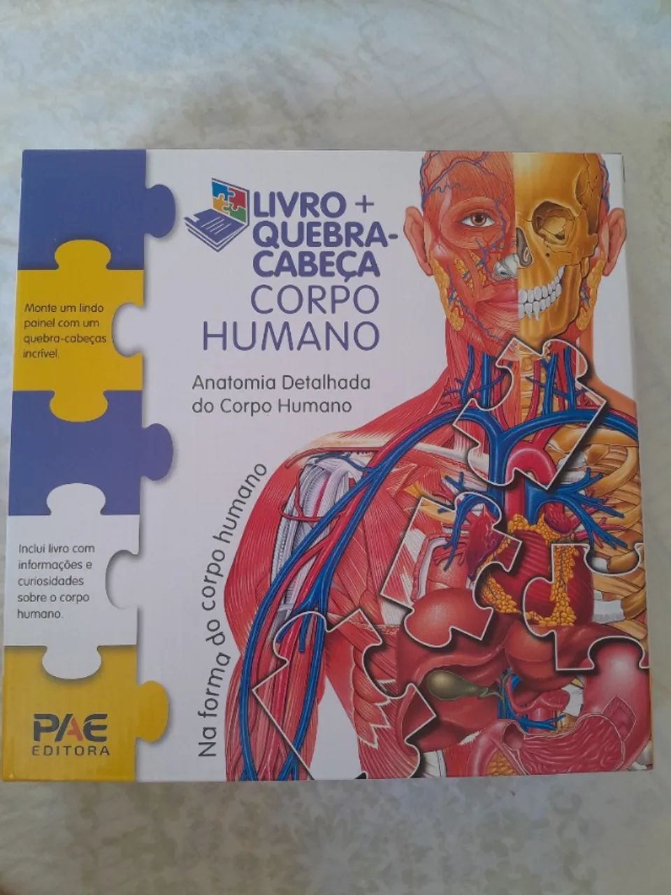 Quebra cabeça corpo humano