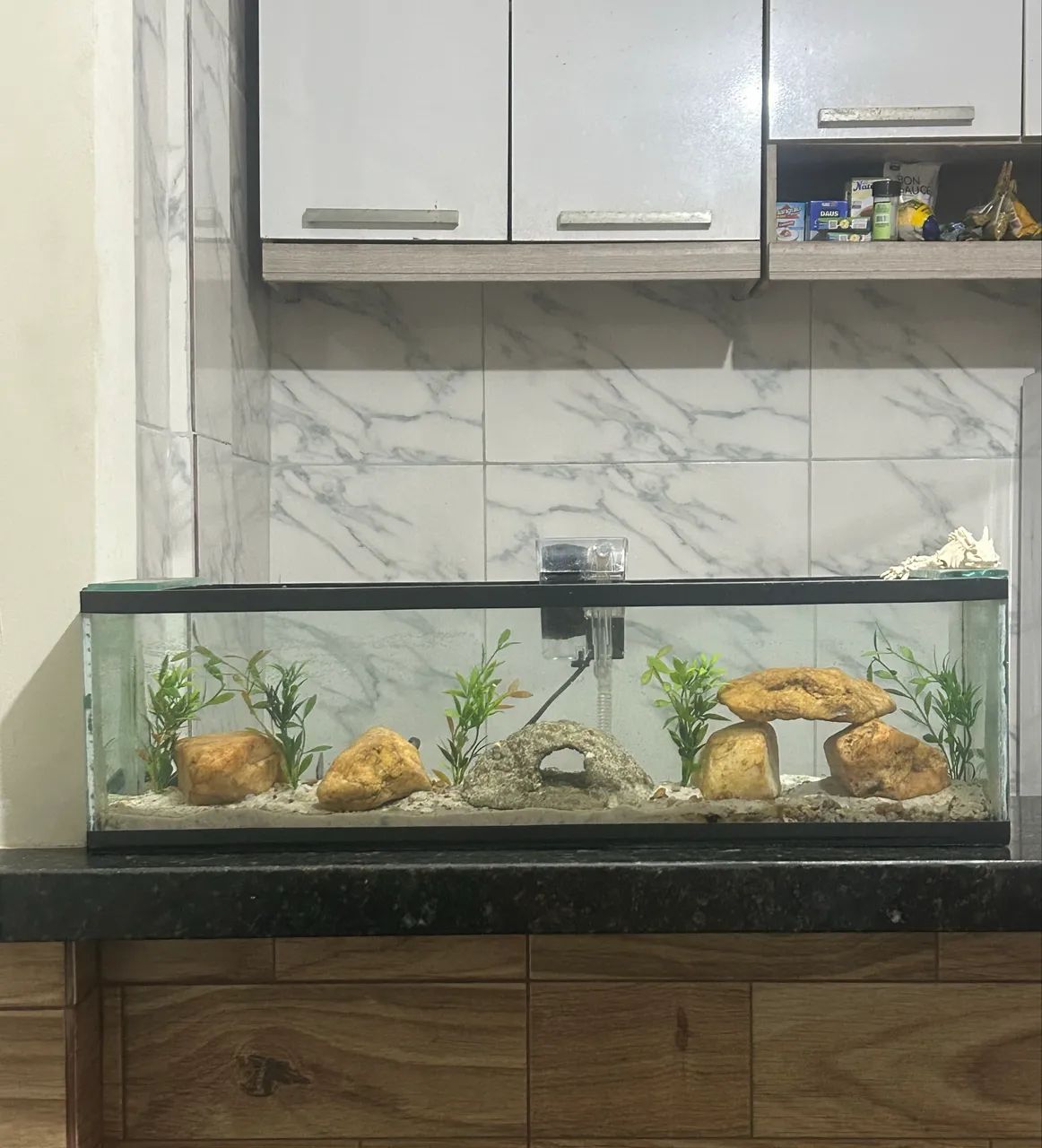 Aquário  - Foto 2