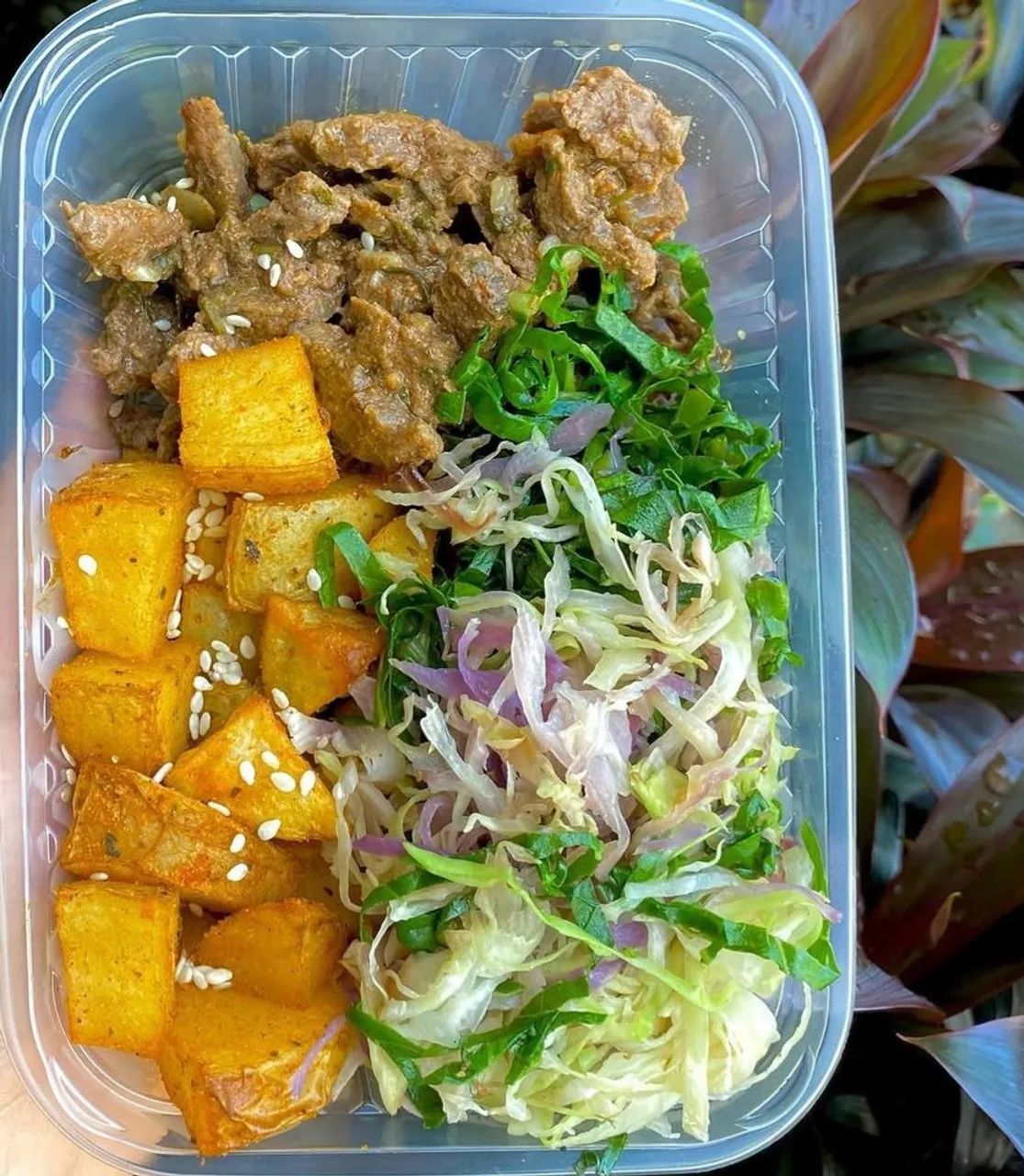 Alimentando Vidas com Saúde e Carinho - Foto 4