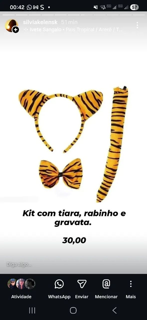 Fantasias Carnaval  - Foto 3