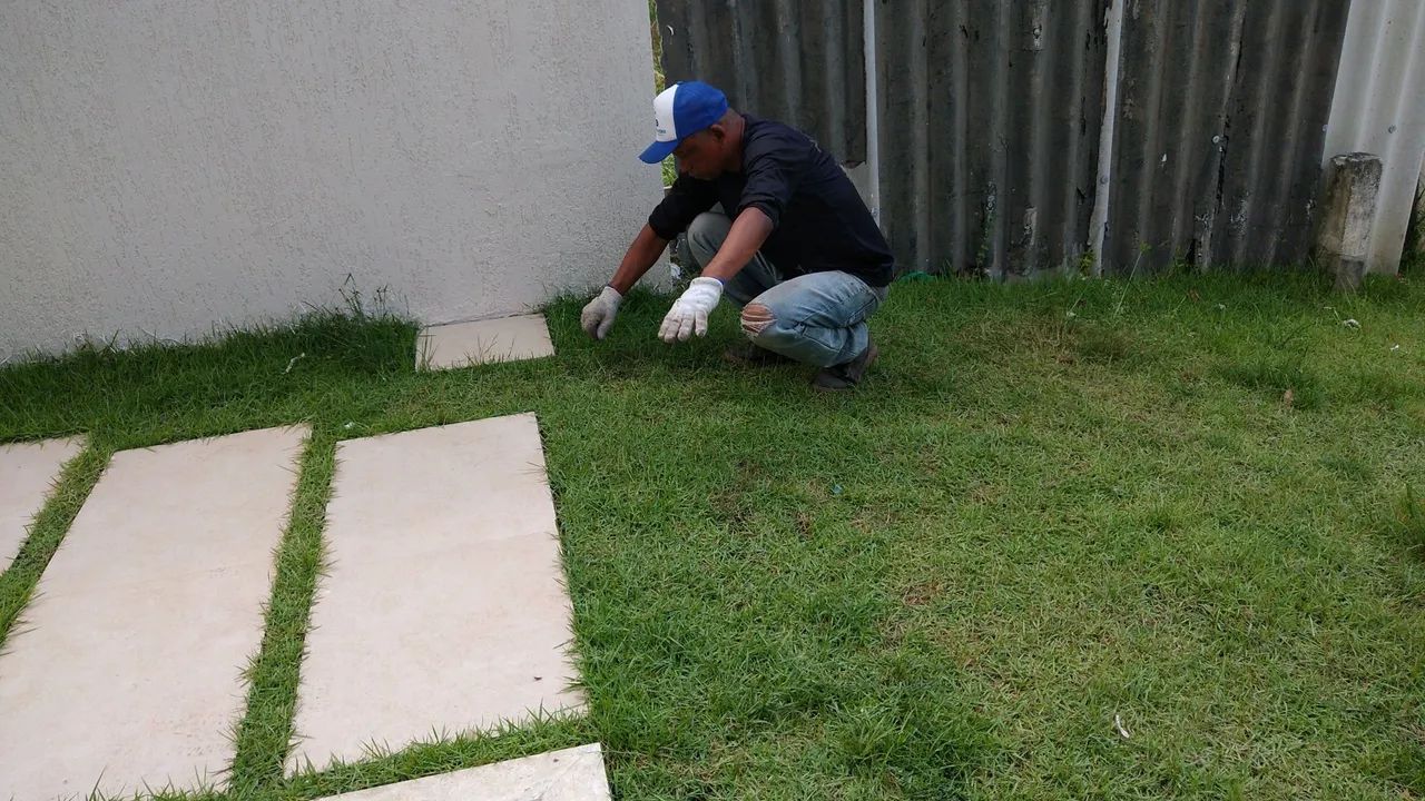 Plantio de grama e nivelamento de terrenos incluso capina - Foto 2