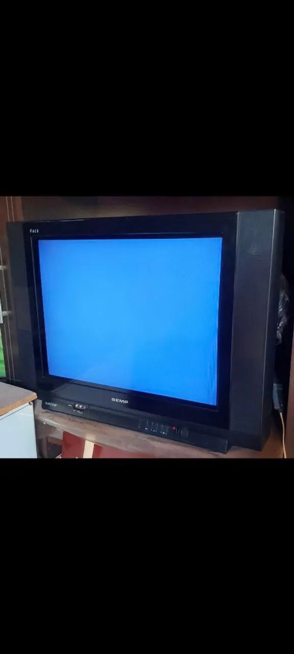 Vendo TV ? SEMP 29" Pol.