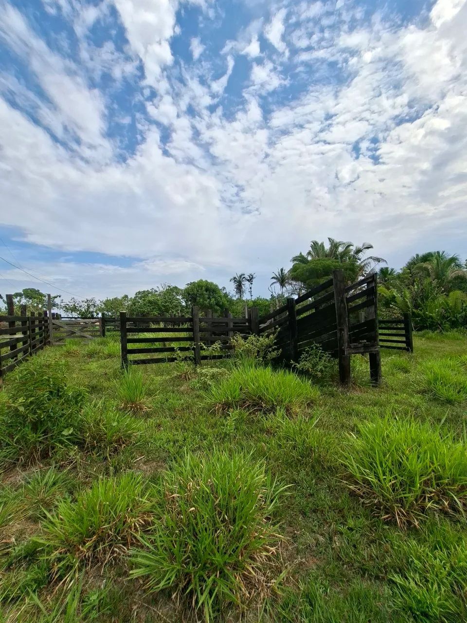 VENDE-SE SÍTIO <br> - Foto 3