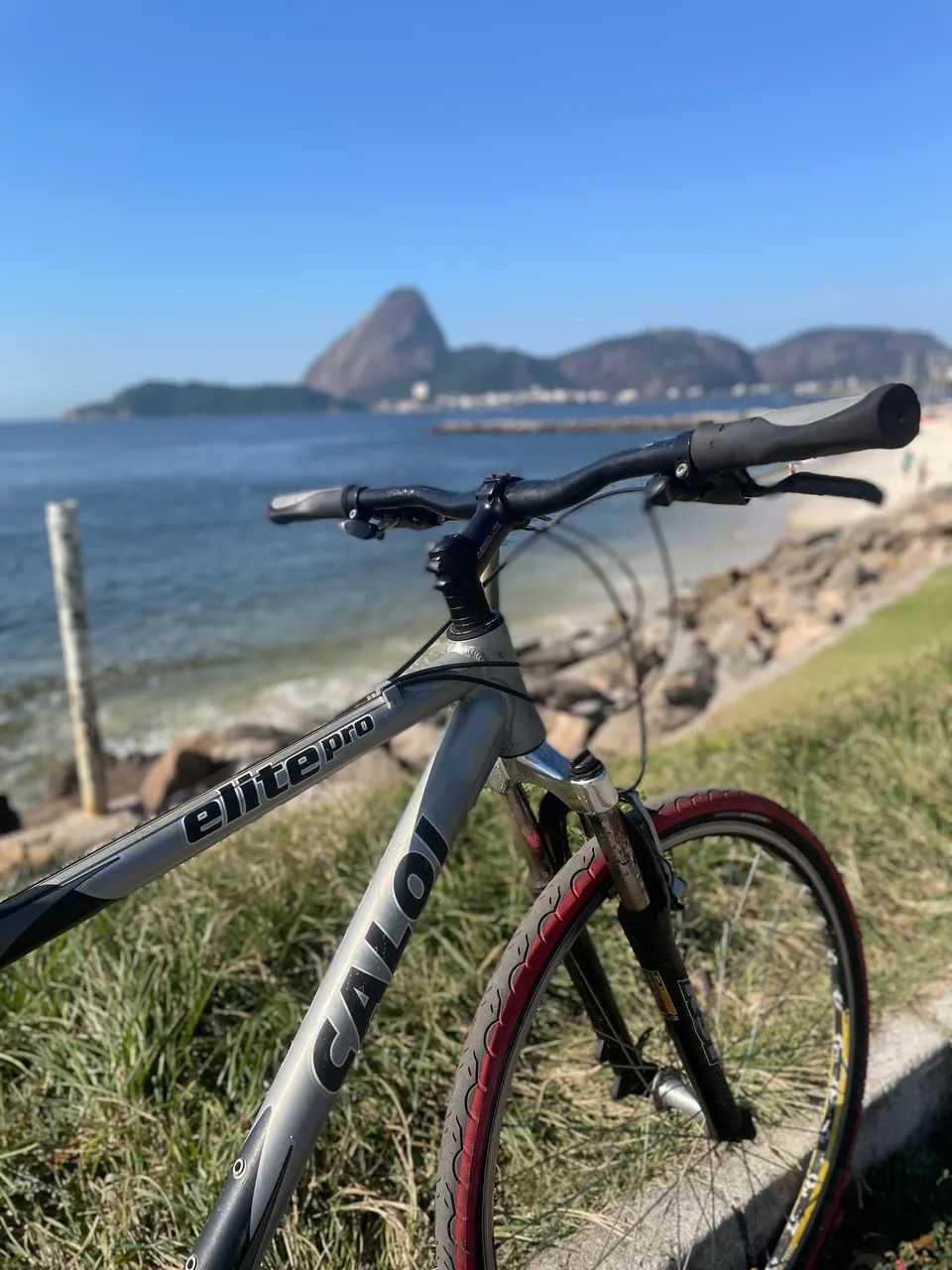 CALOI ELITE PRO 
