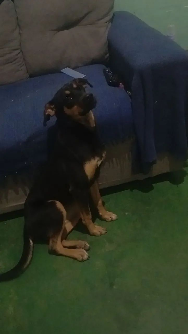 Doação responsavel!