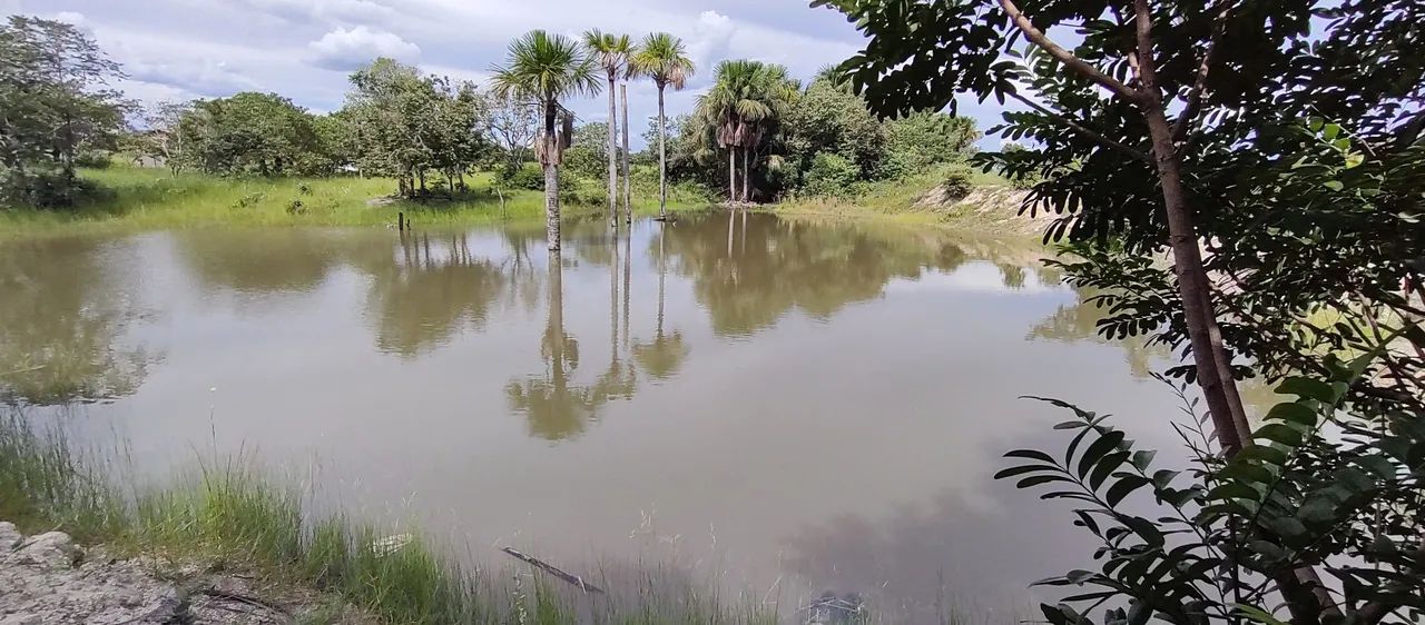 Vende se chácara Divinópolis to - Foto 4