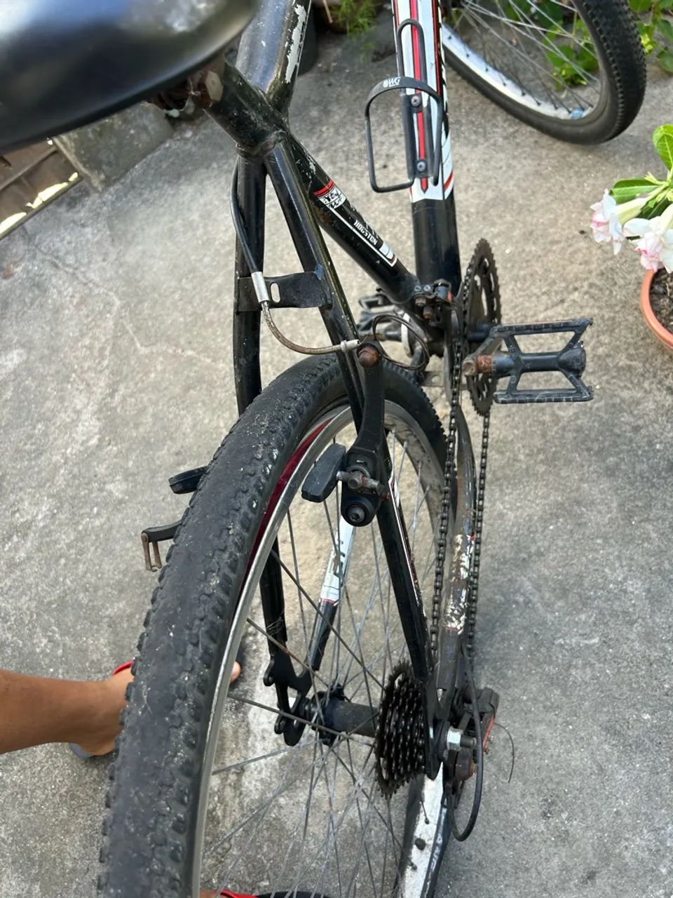 Bicicleta  - Foto 5