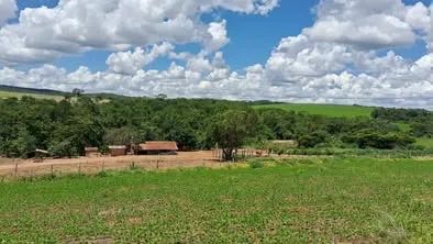 Chacara 33.88ha - Foto 5