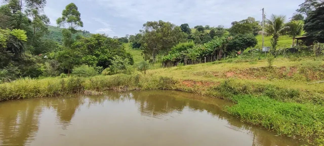 Casa boa , 17 mil pés de café - Foto 3