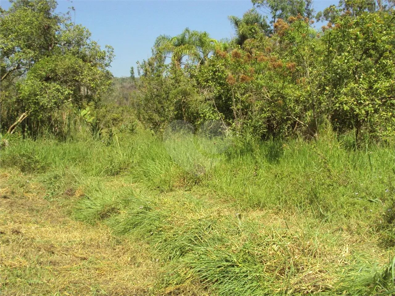 Sítio Estrada Santa Catarina 27.000 m² Cruz das Almas - Biritiba Mirim SP