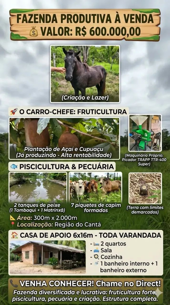 fazenda grande no canta