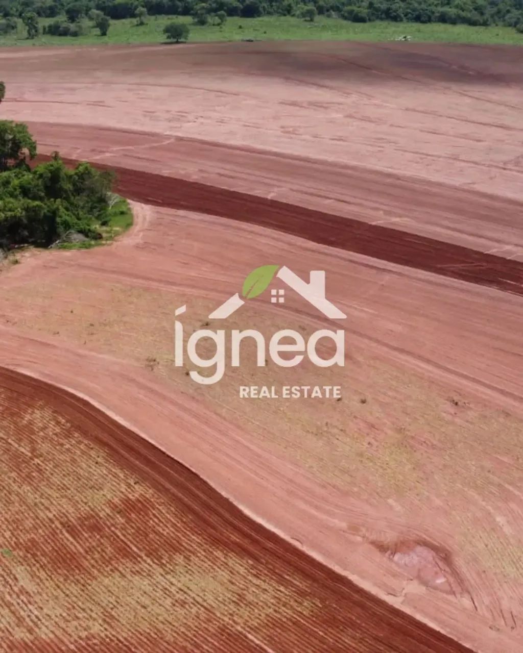 Imóvel para venda com 12100000 metros quadrados com 2 quartos - Foto 5